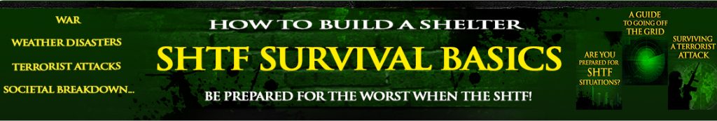 SHTF Survival Basics